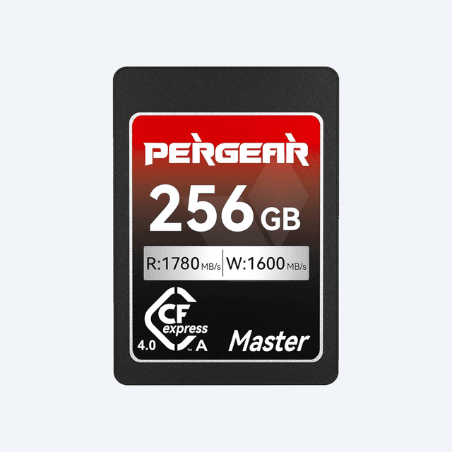 Scheda CF Type A 256GB